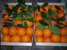 Beneficios de la naranja en la salud